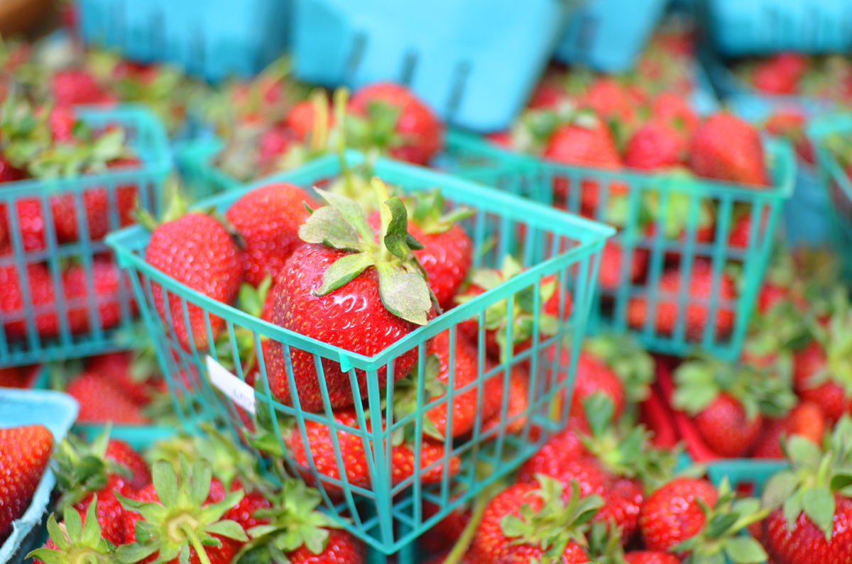 localstrawberries_june2015CU