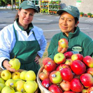 New Fresh-Prepared Meal Options! - Walter Stewart's Market